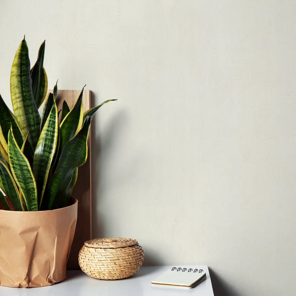 Обои флизелиновые Inspire Focus бежевые 1.06 м Paper 2 STLM-2071804 - Вид №3