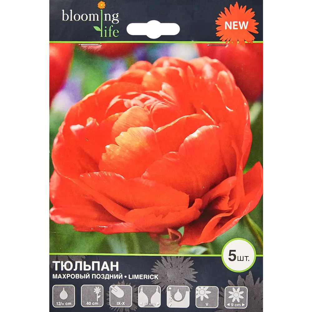 Тюльпан «Лимерик» размер луковицы 12, 5 шт BLOOMING LIFE STLM-2154233