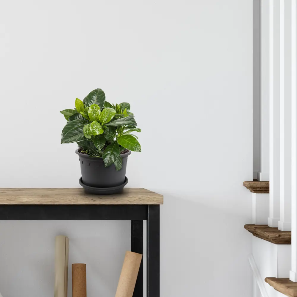 Горшок цветочный Газонcity Рома ø20 h15.3 см v3 л пластик тёмно-серый STLM-2151844 - Вид №2