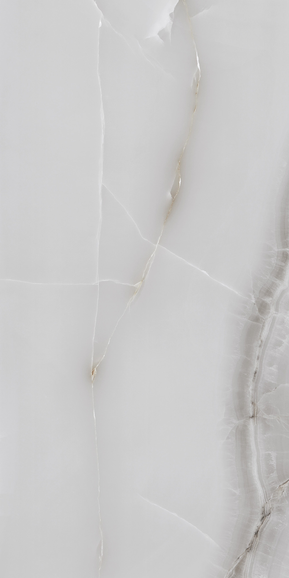 ONYX LINE GREY — Керамогранит с душой природы FP1025-A Arcadia Ceramica - Вид №11