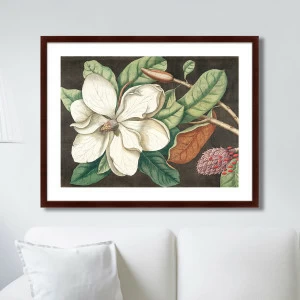 Картина в деревянной раме 78,5х100 см Beauty bloom №1, 1732г. КАРТИНЫ В КВАРТИРУ  264205 Белый;зеленый;разноцветный