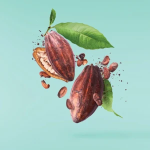 Картина на стекле Какао-Бобы 30x30 см