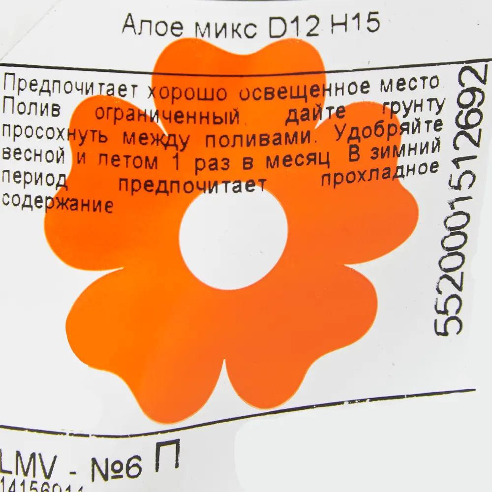 Алоэ микс 12х15 см 14156911 STLM-2139268 Santreyd  - Вид №2