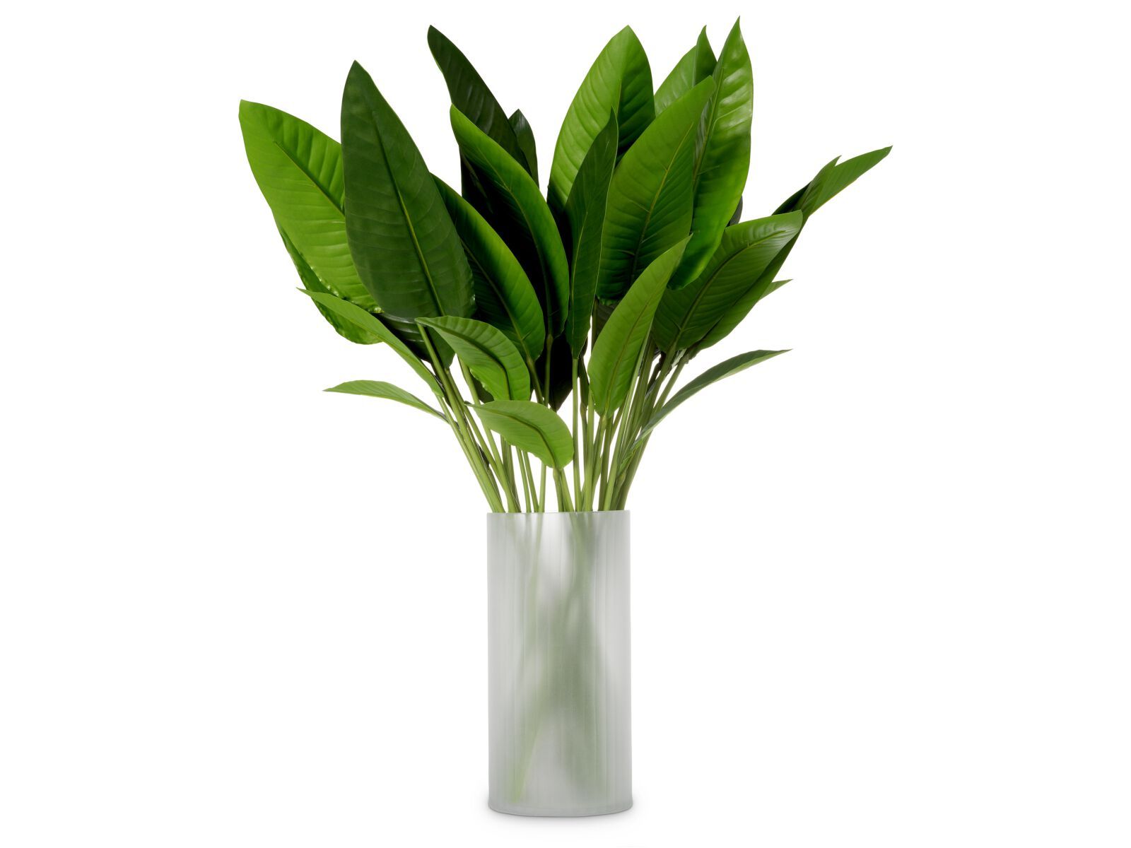 Искусственное растение Eichholtz BUNDLE OF STRELITZIA LEAVES ARCH-00000750