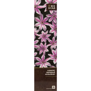 Клематис гибридный Нелли Мозер в тубе