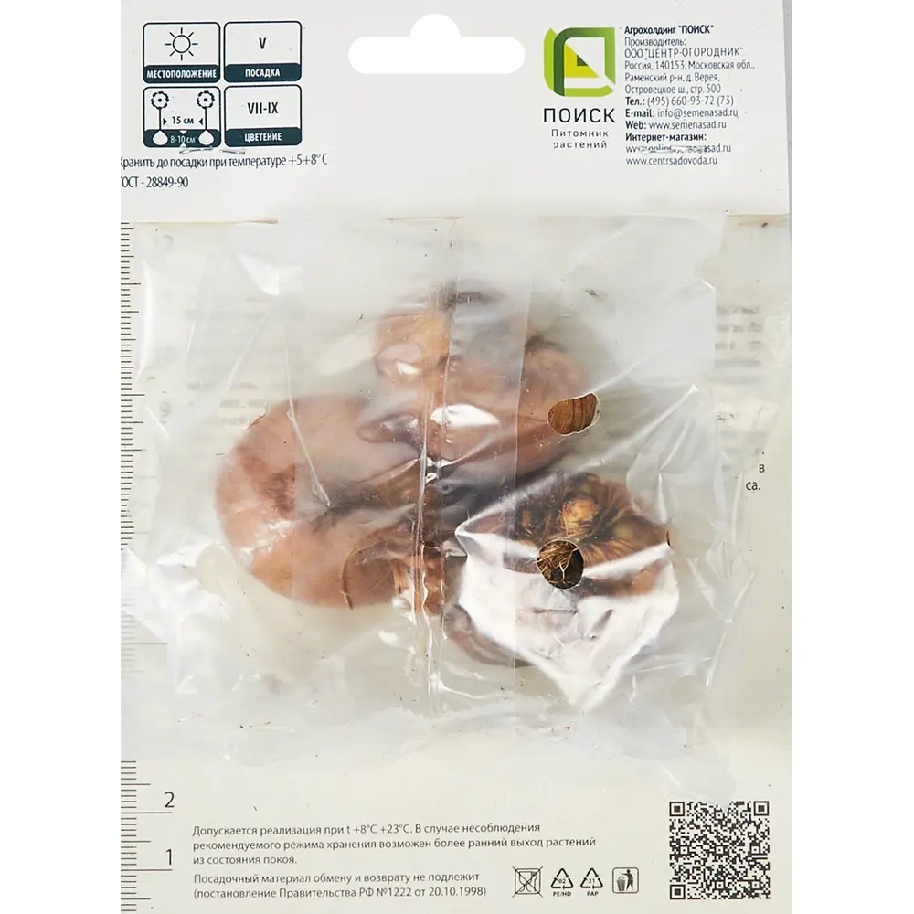 Гладиолус крупноцветковый Астарта, 3 шт 86410043 STLM-2085005 ПОИСК  - Вид №1