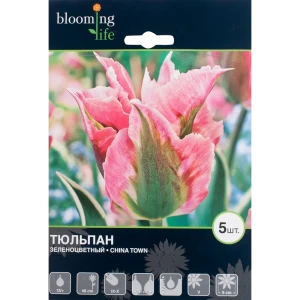 Тюльпан зелёноцветный «Чайна Таун» 82351156 STLM-2137318
