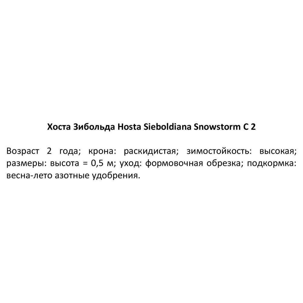 Хоста Зибольда Сноусторм ø15 h40 см 84832090 STLM-2141152 PLANTMARKET  - Вид №2