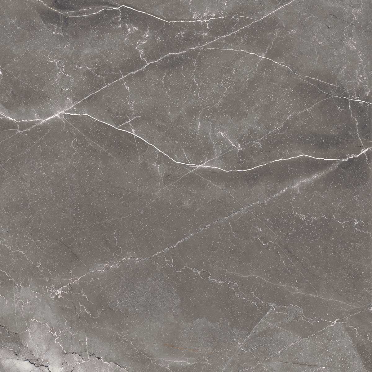 Керамогранит PULPIS NERO 60х60 Arcadia Ceramica FP1014-A STLM-2172557 84855266 - Вид №5