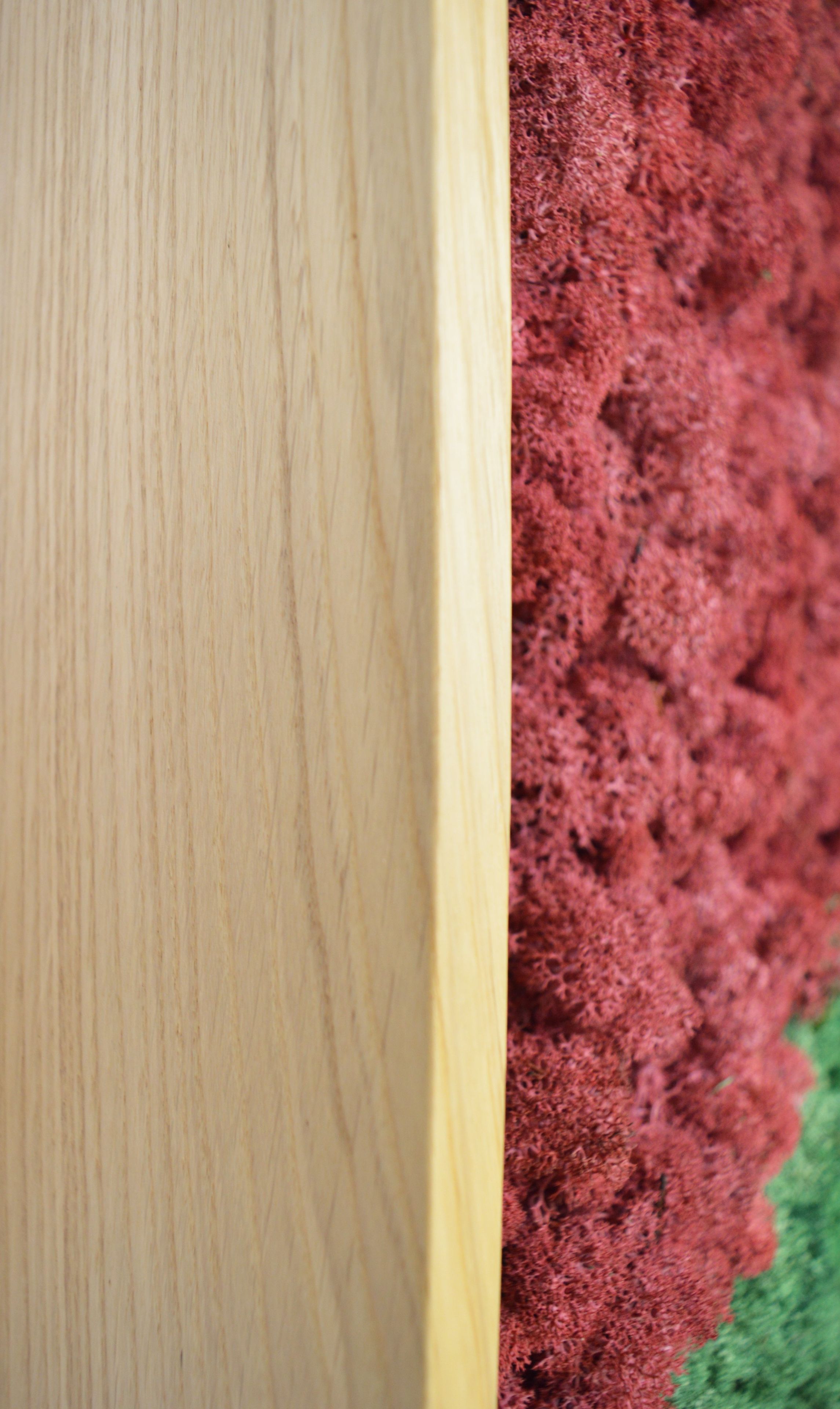 Акустическая панель из мха GREENMOOD FRAMED GEOMETRIC ARCH-00124960 - Вид №17