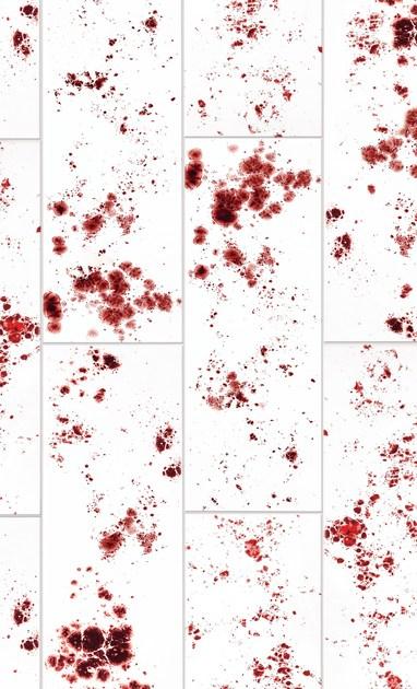 Danilo Ramazzotti Внутренняя облицовка майоликой Inchiostro simpatico Is3 - Вид №2