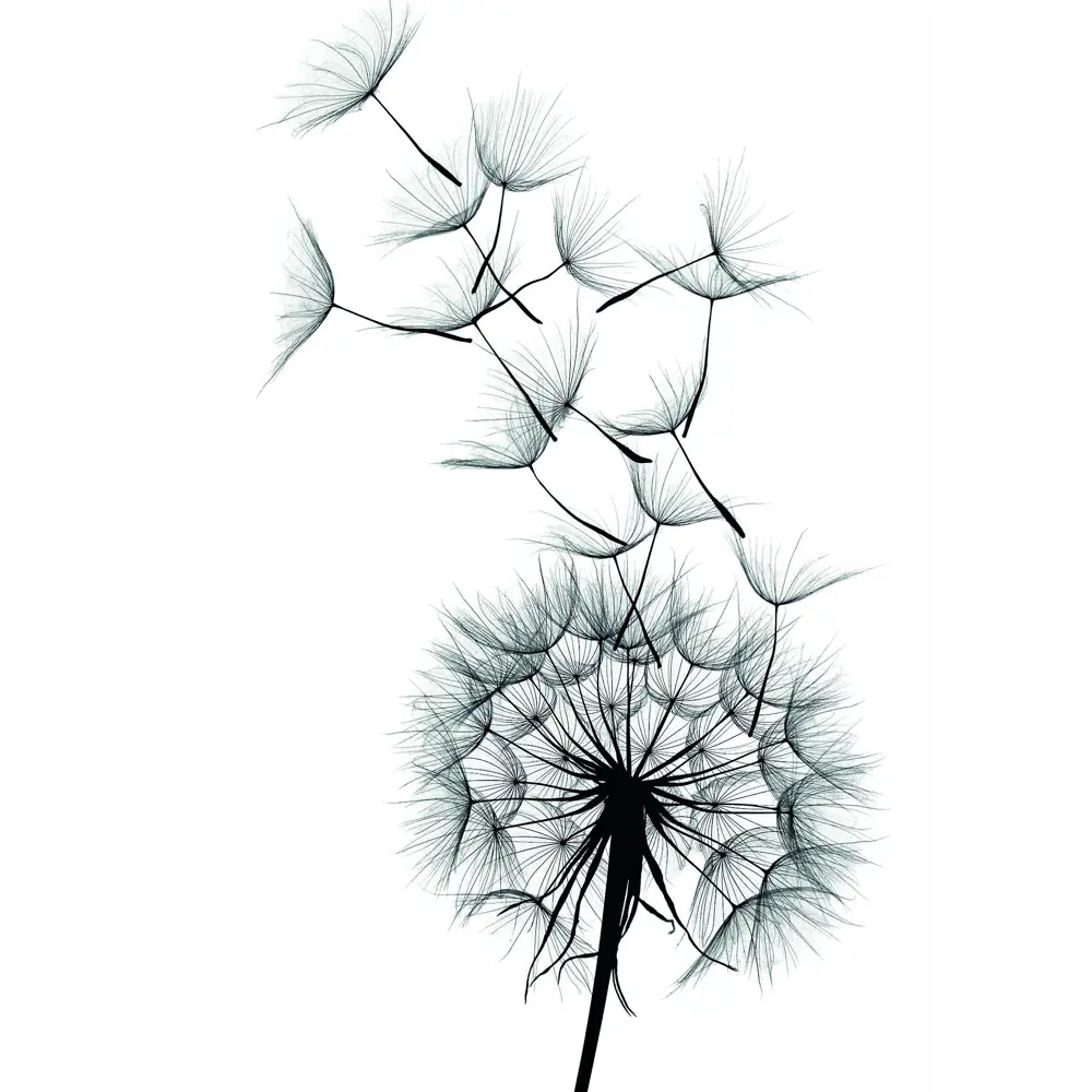 Постер «Лёгкость» 21x29.7 см Santreyd STLM-2028616