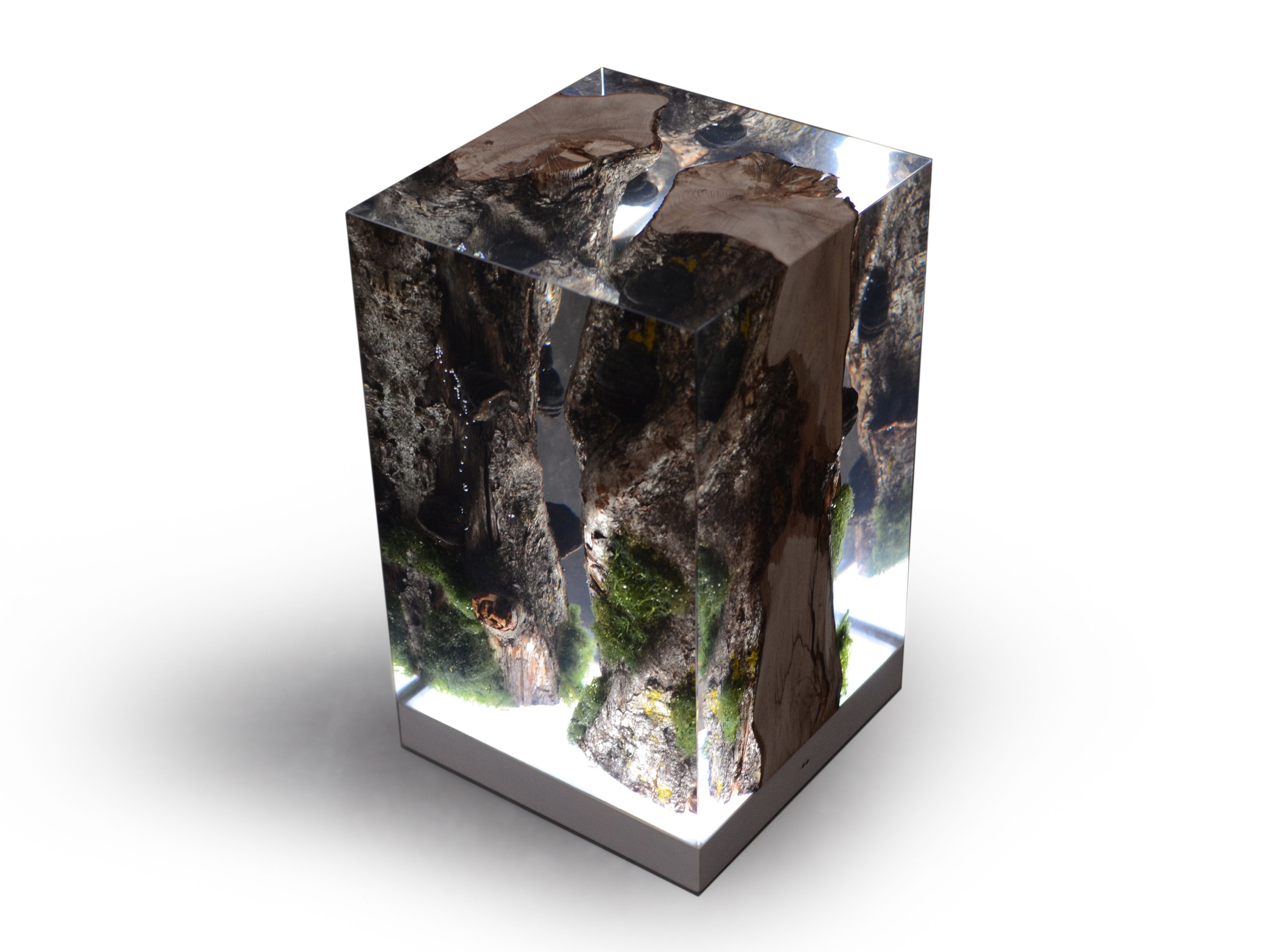 Светодиодная настольная лампа alcarol Подлесок ARCH-00036620