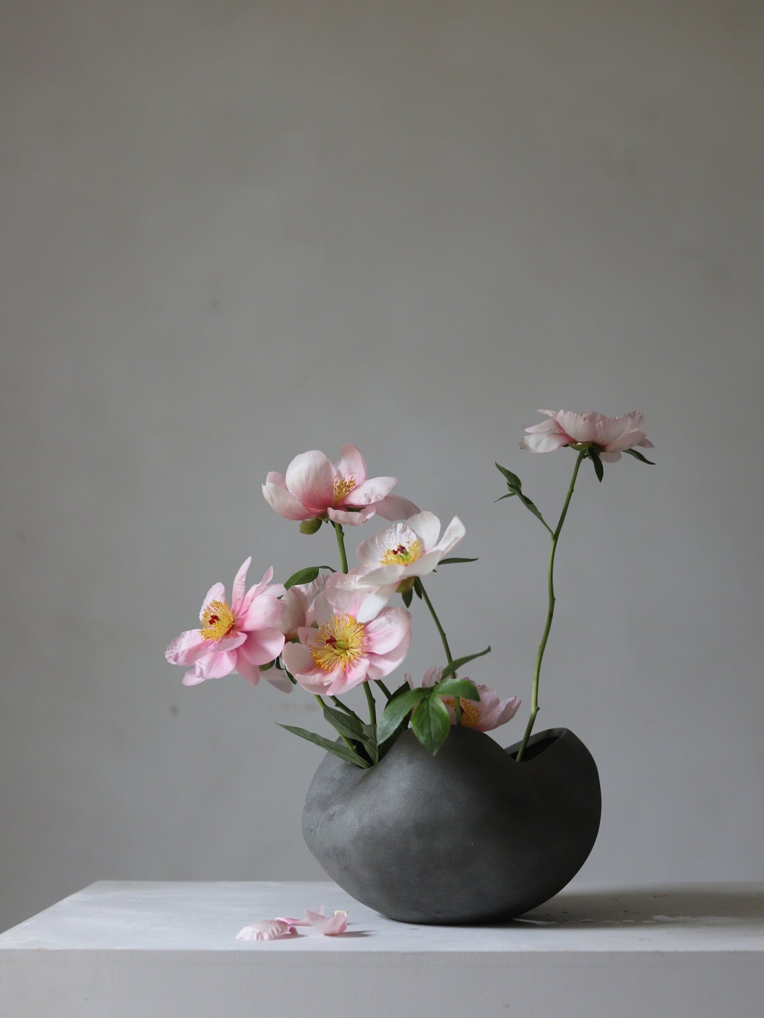 Керамическая чаша 101 Copenhagen Curve ARCH-00111367 - Вид №13