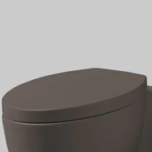 CPVCUTF-AN Крышка сиденье для унитаза Ceramica Cielo