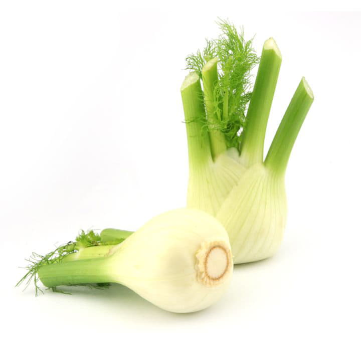 Фенхель Santreyd 8640 - Вид №2