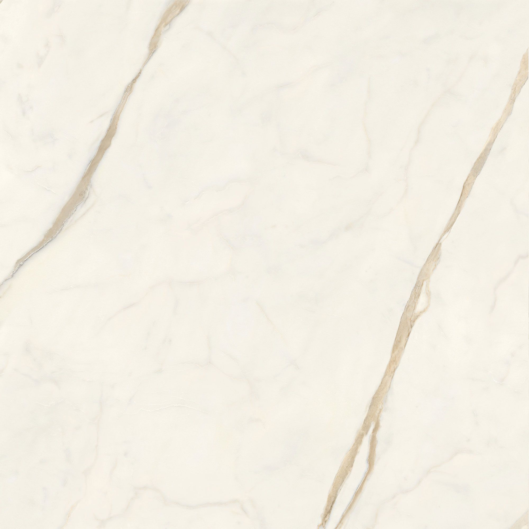 Пол / керамогранит с мраморным эффектом Italgraniti Marble Touch ARCH-00062183 - Вид №13
