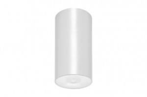 DST-3221 Lens watertight ceiling-mounted Daisalux Светильники и спец. Белый