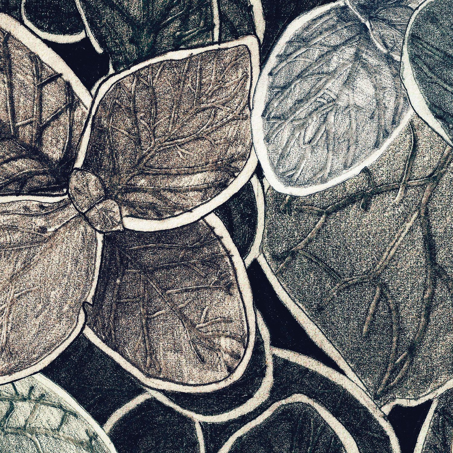 Обои с рисунком Ressource Faune &amp ARCH-00031135 - Вид №12