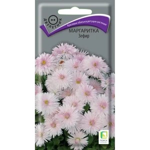 ПОИСК Маргаритка Зефир - нежные весенние цветы для сада 89401254