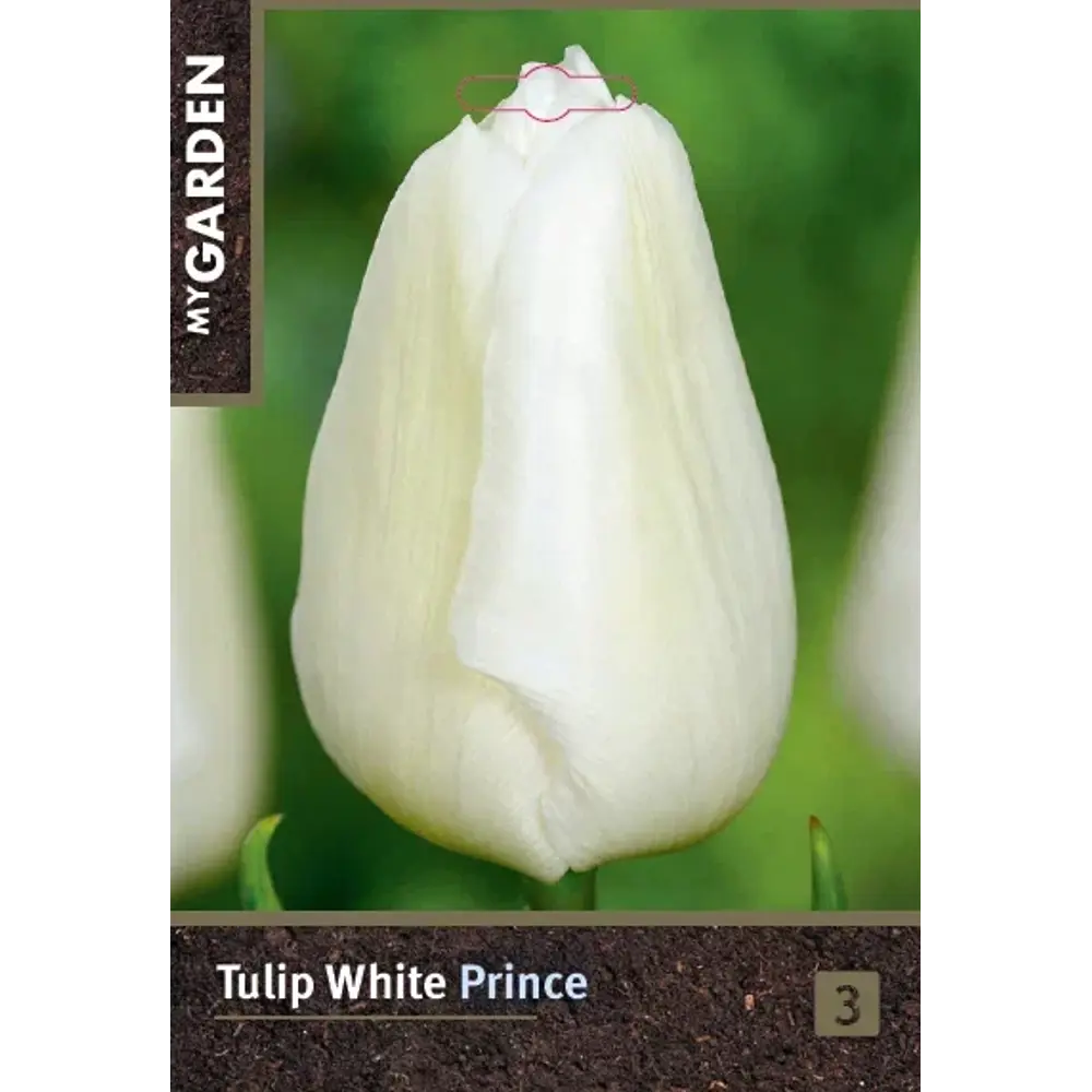 Луковицы тюльпана Уайт Принц 10/11 - многолетние белые цветы для сада 89433029 Santreyd STLM-1584372