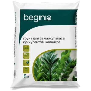 Грунт BEGINIA для замиокулькаса и суккулентов 5 л