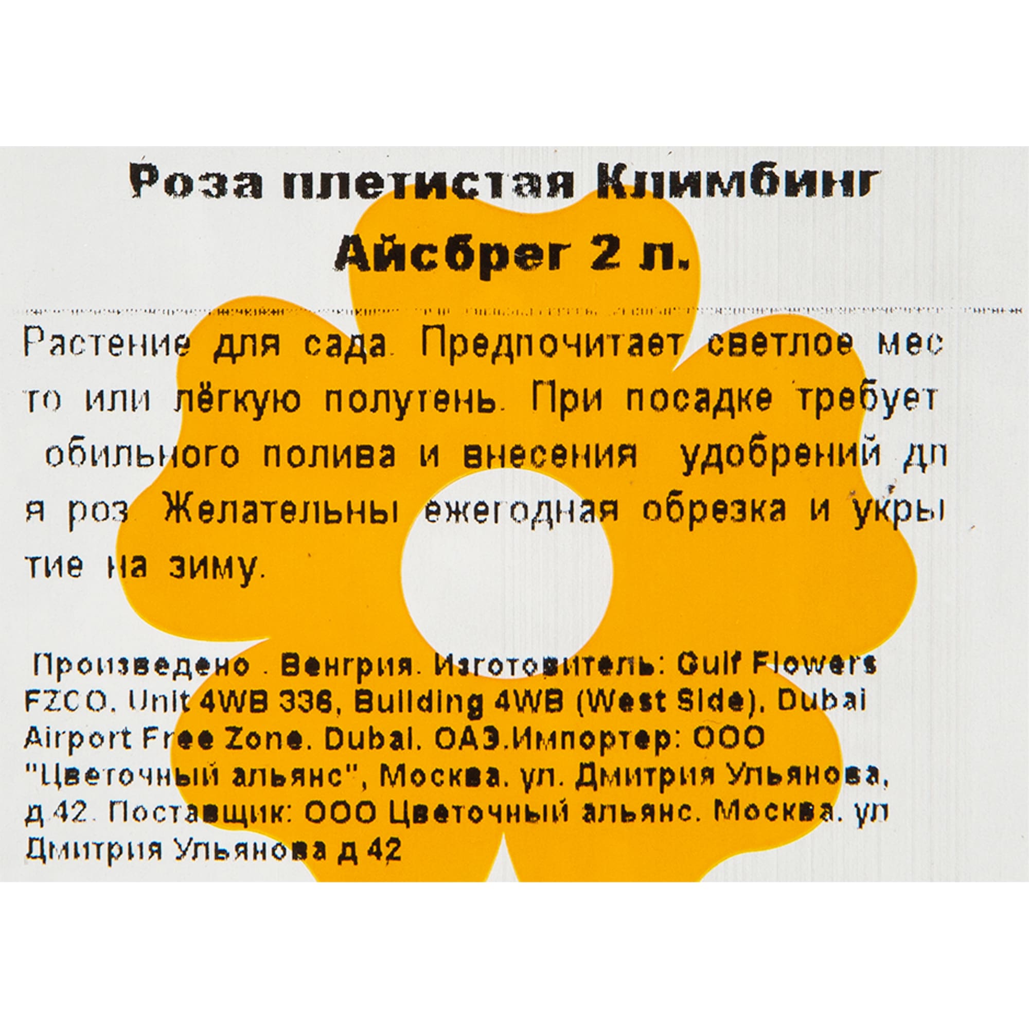 82155589 Роза плетистая Климбинг Айсбрег 2 л Santreyd  - Вид №1