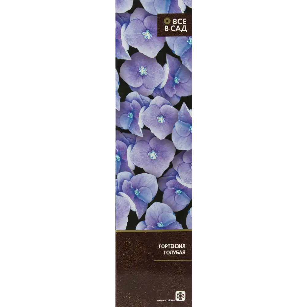 Гортензия голубая в тубе ВСЕ В САД STLM-2146950