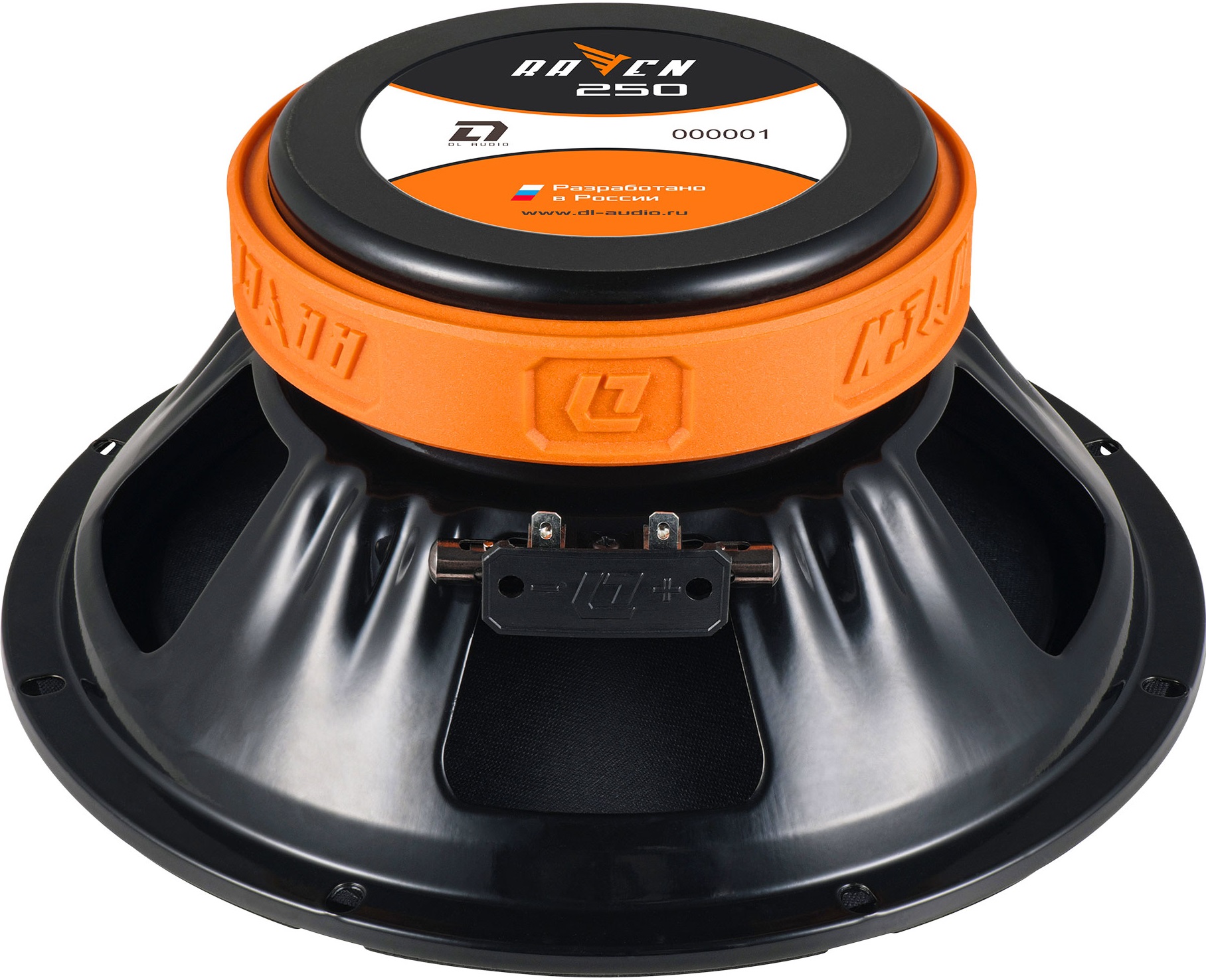 9285897 Среднечастотная акустическая система DL Audio Raven 250 v.2 STDN-0091558 - Вид №2