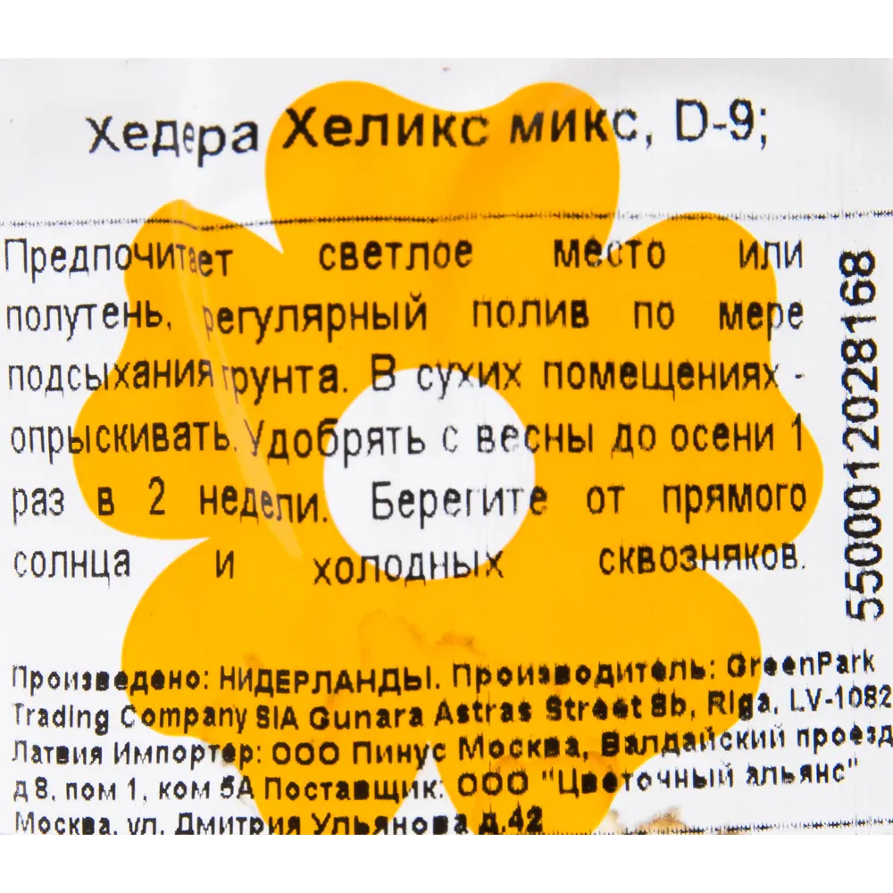Хедера Хеликс Микс 9х20 см 12501793 STLM-2021765 Santreyd  - Вид №2
