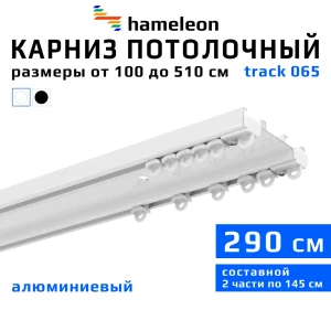 Шинный карниз двухрядный Hameleon 065.1 290 см алюминий