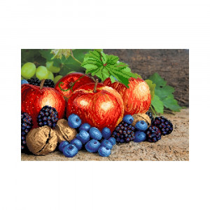 4194 Канва/ткань с рисунком Рисунок на шелке 37 см х 49 см "Райские плоды" Матренин посад
