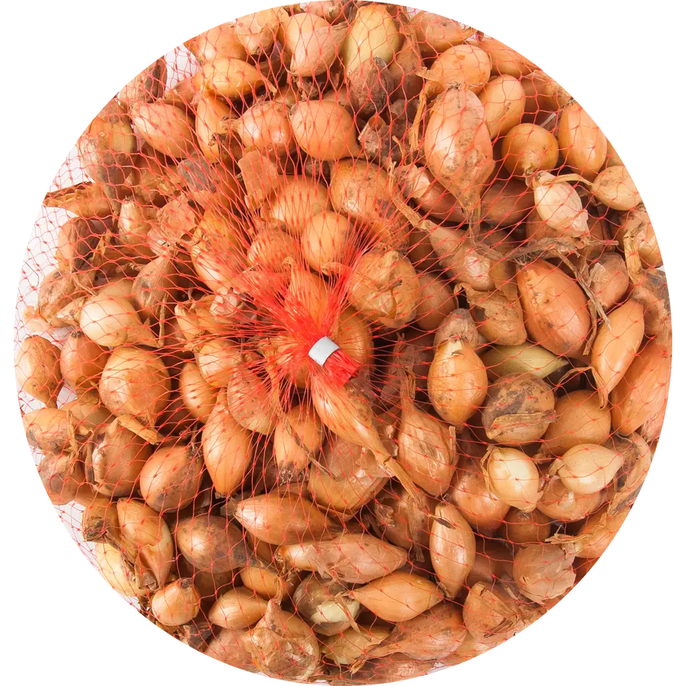 Лук севок Стурон 0.5 кг ПОИСК STLM-2161269