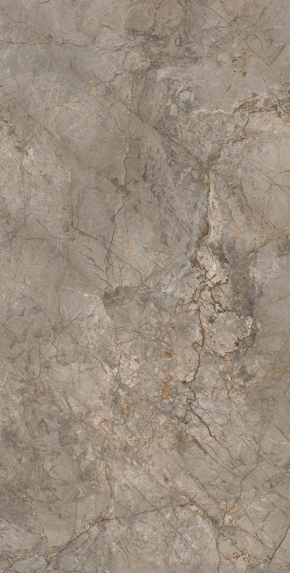Керамогранит MISTRAL BROWN 60х120 Arcadia Ceramica CR4033-A  - Вид №3