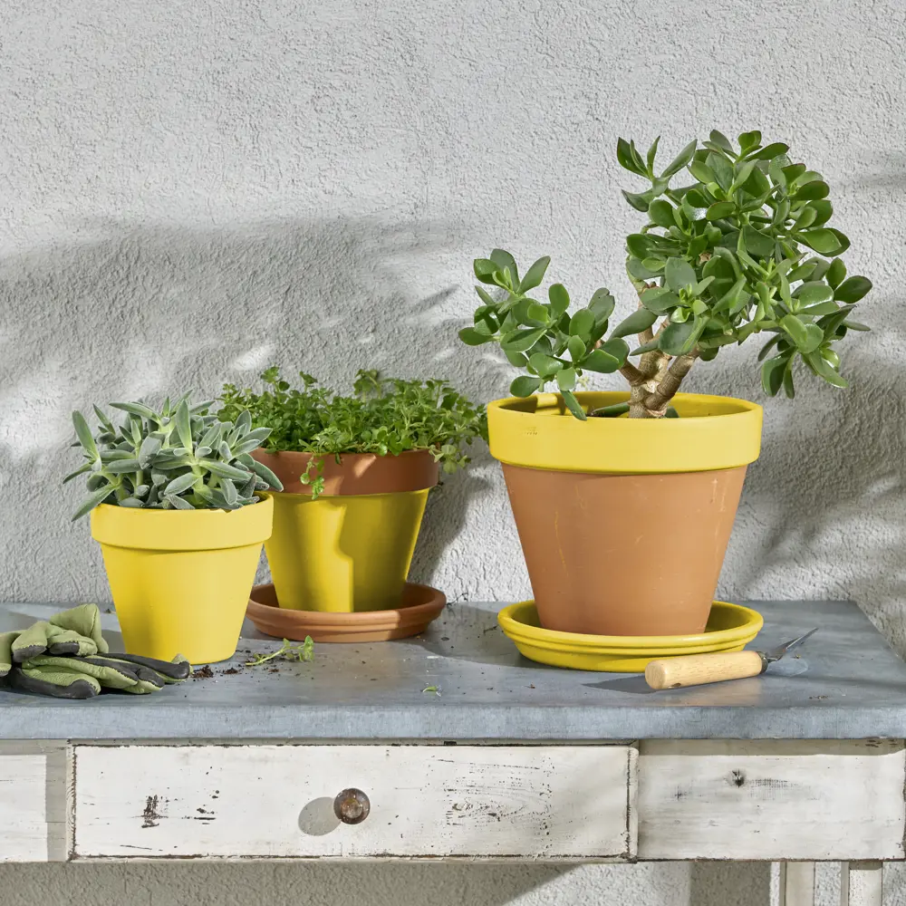 Аэрозольная эмаль Luxens: глянцевый желтый для интерьера и экстерьера 83237447 STLM-0039790 - Вид №5