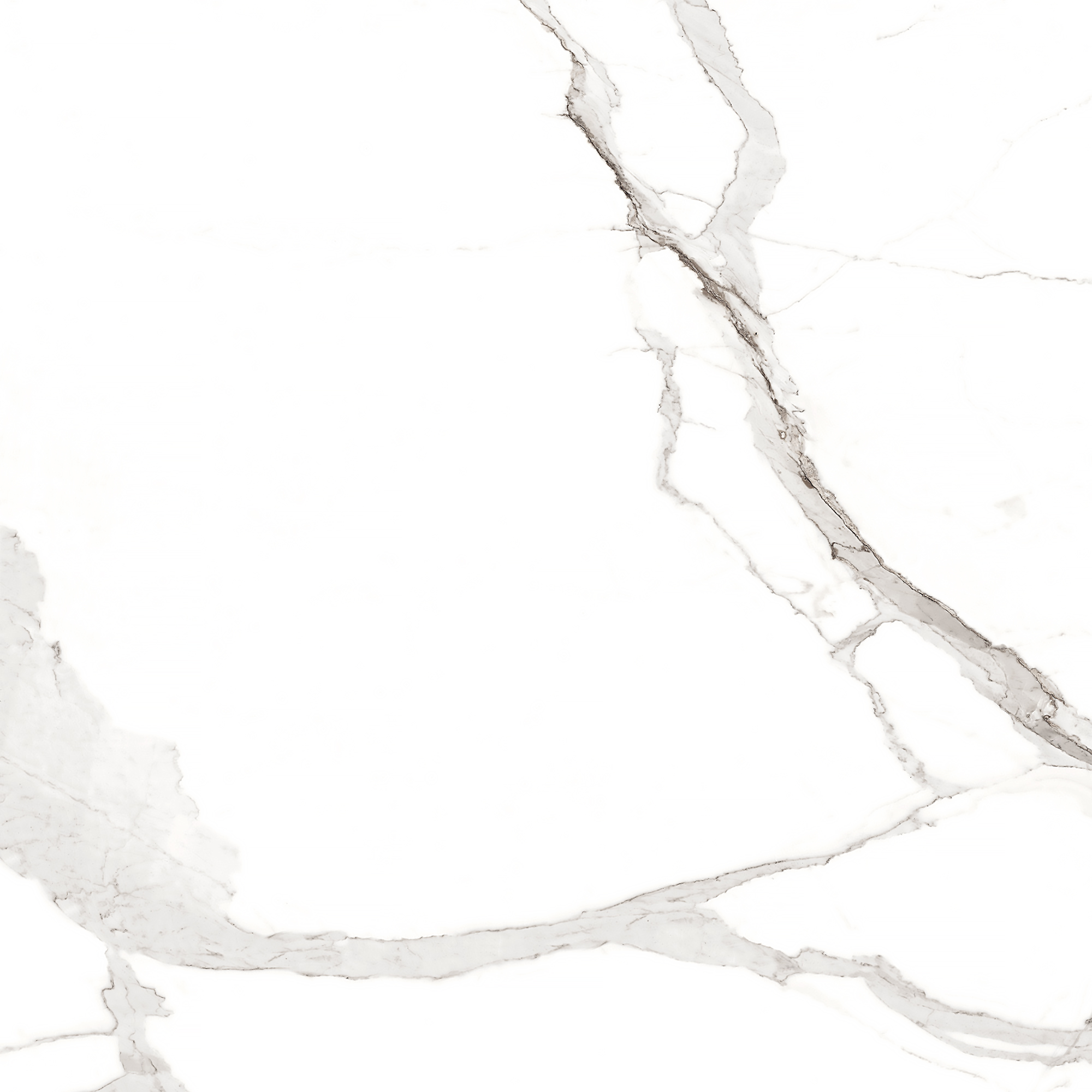 Керамогранит STATUARIO MIRES 60х60 Arcadia Ceramica FP1012-A STLM-1571933 89405719  - Вид №2