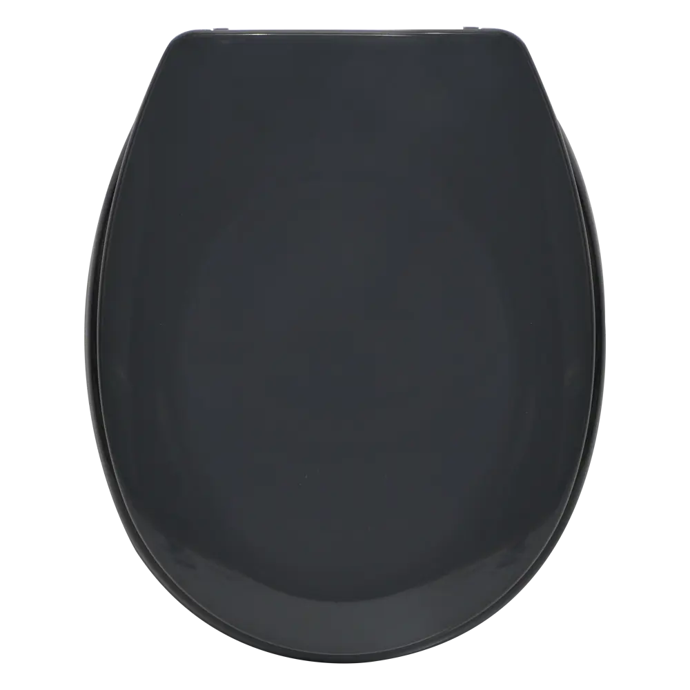 Сиденье для унитаза Sensea Sparta с микролифтом цвет тёмно-серый STLM-2119283