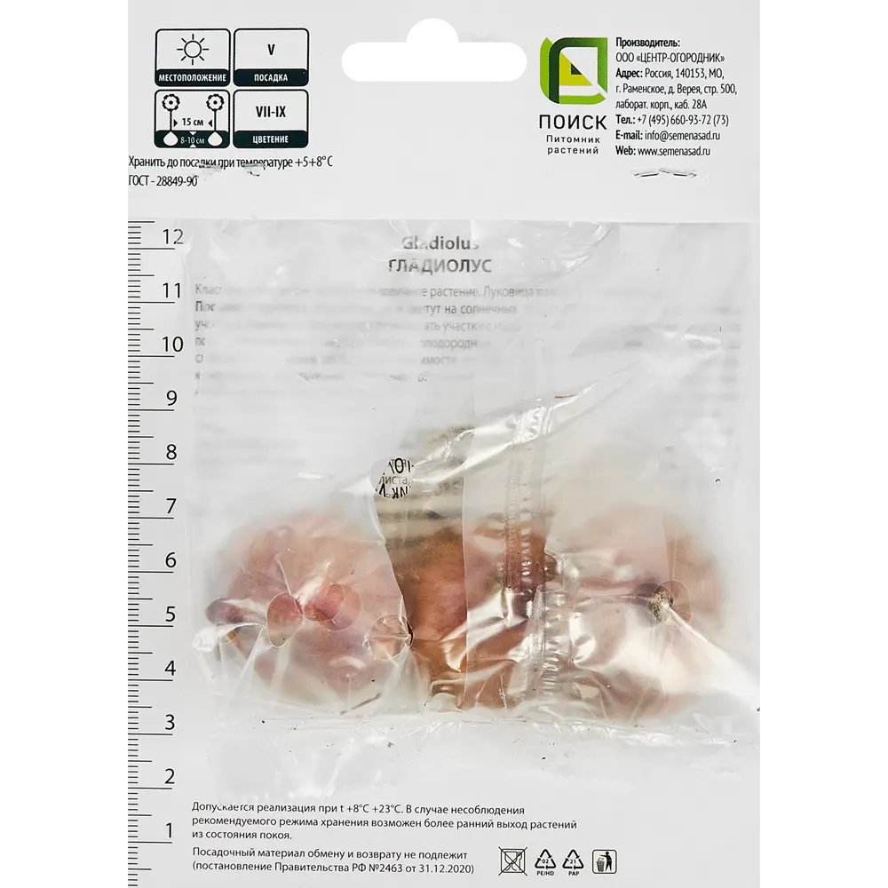 Гладиолус крупноцветковый Прага, 5 шт ПОИСК STLM-2185951 - Вид №1