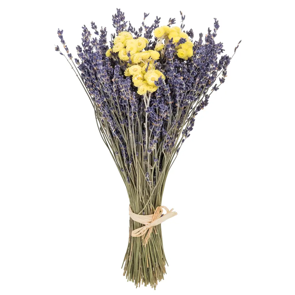 Букет из сухоцветов с лавандой Santreyd STLM-2067615