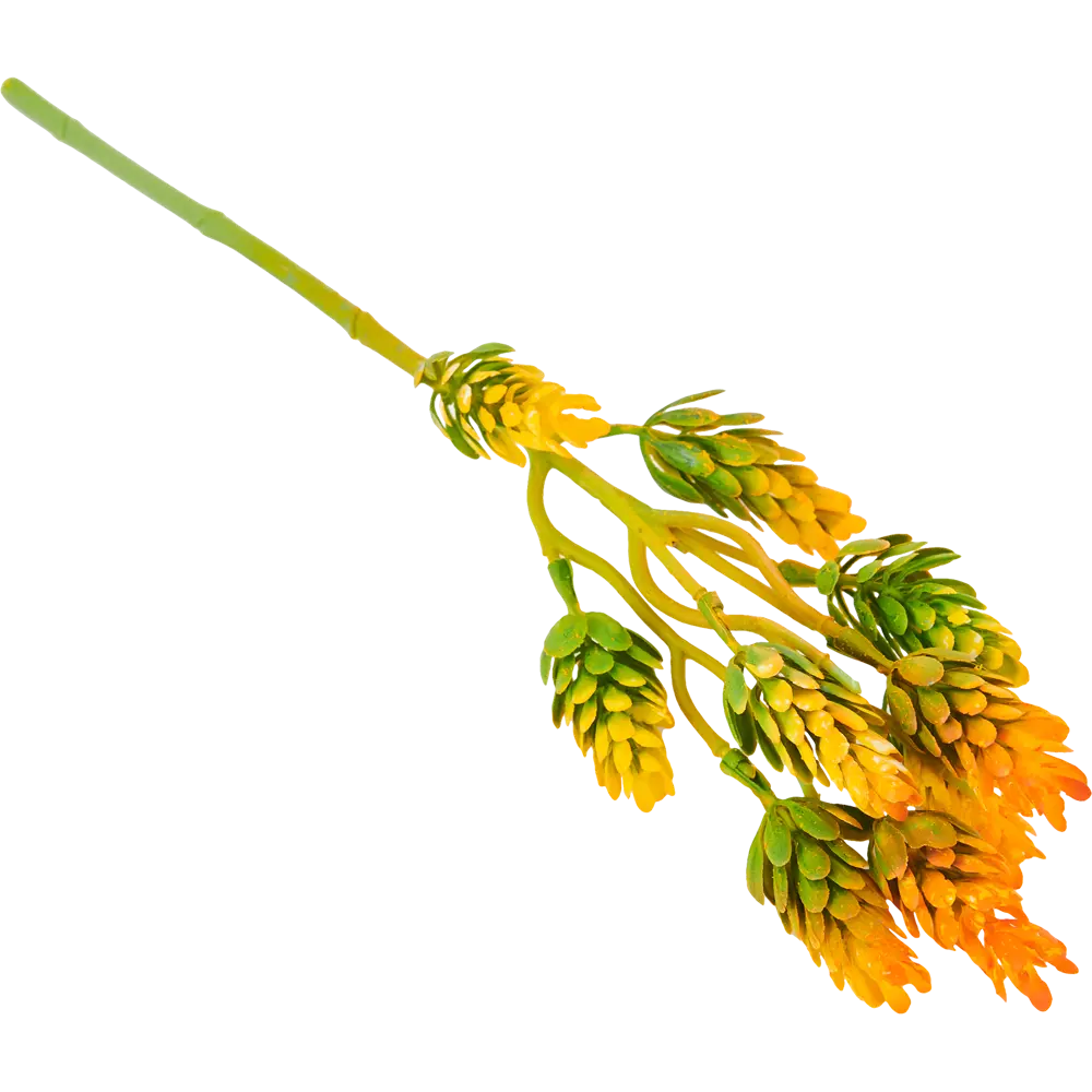 82839134 Ветка декоративная «Хмель» 40 см STLM-0814844 Santreyd 