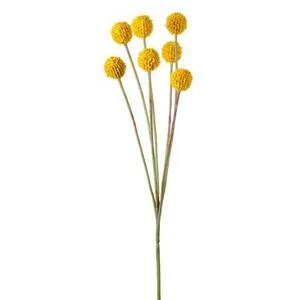 Краспедия желтая шаровидная ветка с цветами 60 см