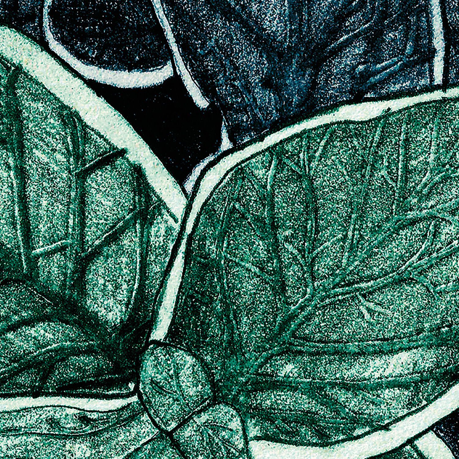 Обои с рисунком Ressource Faune &amp ARCH-00031135 - Вид №10