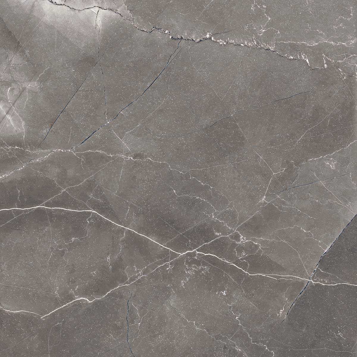Керамогранит PULPIS NERO 60х60 Arcadia Ceramica FP1014-A STLM-2172557 84855266 - Вид №7