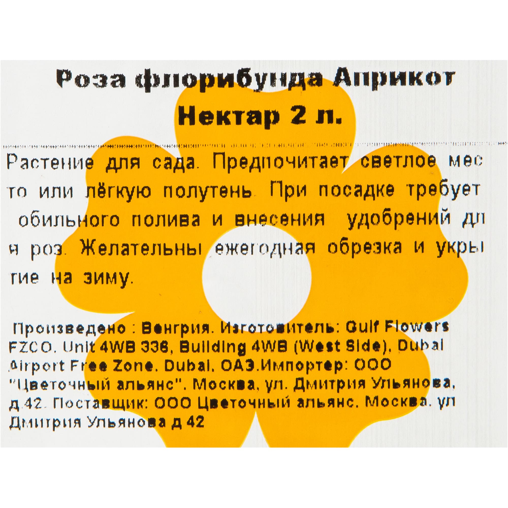 82155582 Роза флорибунда Априкот Нектар 2 л Santreyd  - Вид №1