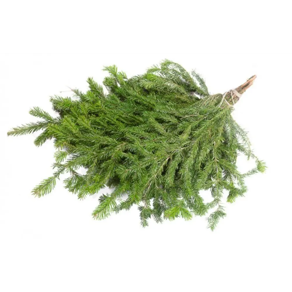 Лапник ель 40-60 см 5-7 шт Santreyd STLM-2182105