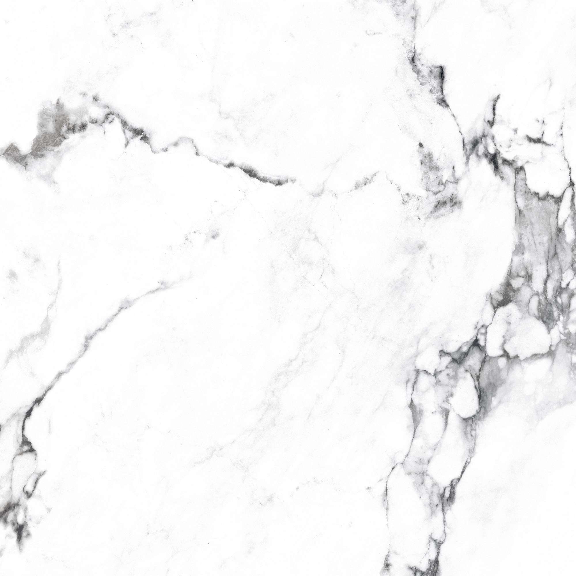 Керамогранит BORGHINI SILVER 60х60 Arcadia Ceramica CR4006-A STLM-2206816 89396428 Carving - Вид №12