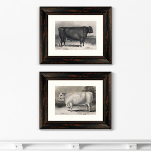 91277912 Картина «» Диптих A Devon bull, 1849г. (из 2-х картин) STLM-0532568 КАРТИНЫ В КВАРТИРУ