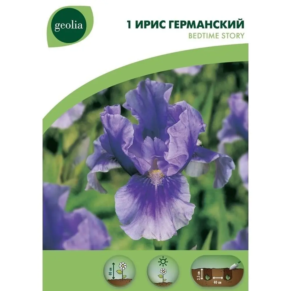 Ирис Geolia «Bedtime Story» 15550152 STLM-2081169 