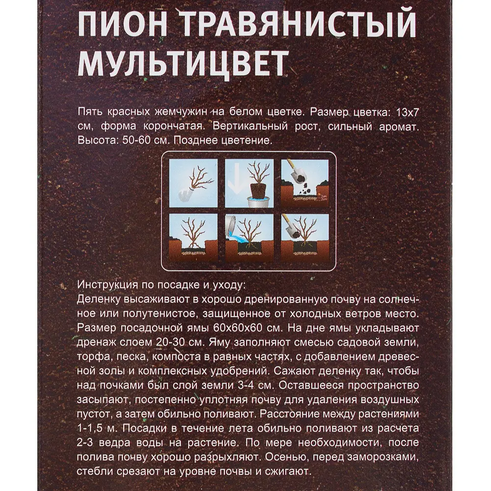 Пион травяной Мультицвет (в тубе) 17512580 STLM-2086095 Santreyd  - Вид №1