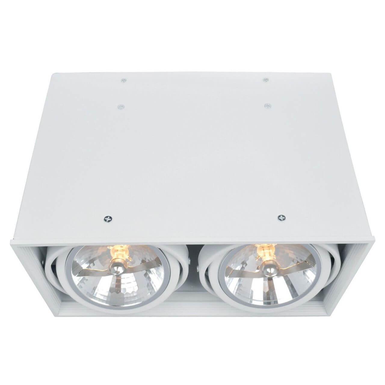 A5936PL-2WH Потолочный светильник Cardani Arte Lamp Cardani White